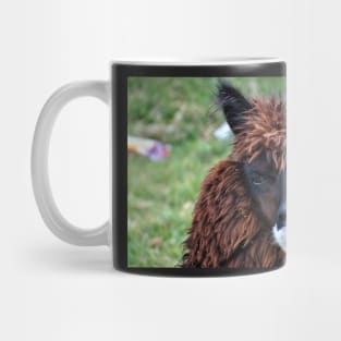 Lama du Pérou Mug